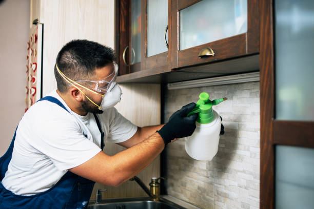 Best Termite Control Services  in Hughesville, MD