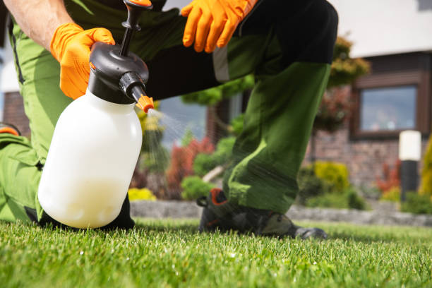 Best Best Pest Control Companies  in Hughesville, MD