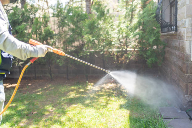 Best Residential Pest Control  in Hughesville, MD