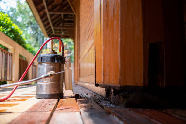 Best Pest Control for Businesses  in Hughesville, MD