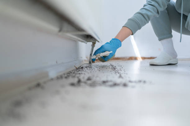 Best Insect Control  in Hughesville, MD