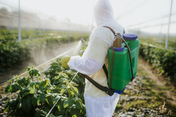  Hughesville, MD Pest Control Pros